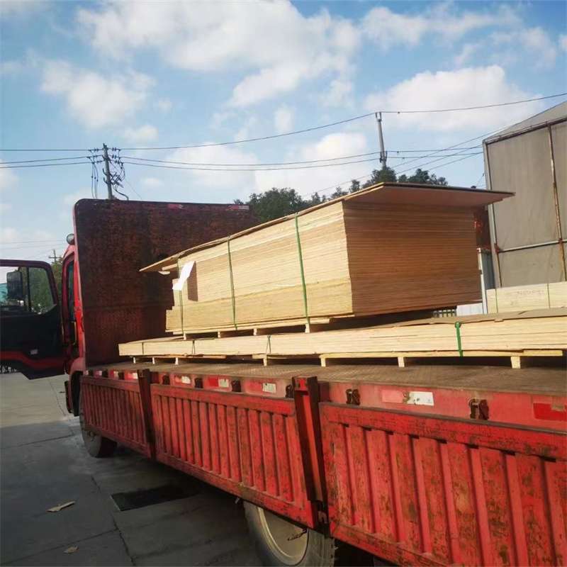 东莞到河北物流公司——一站式服务，让货运更便捷